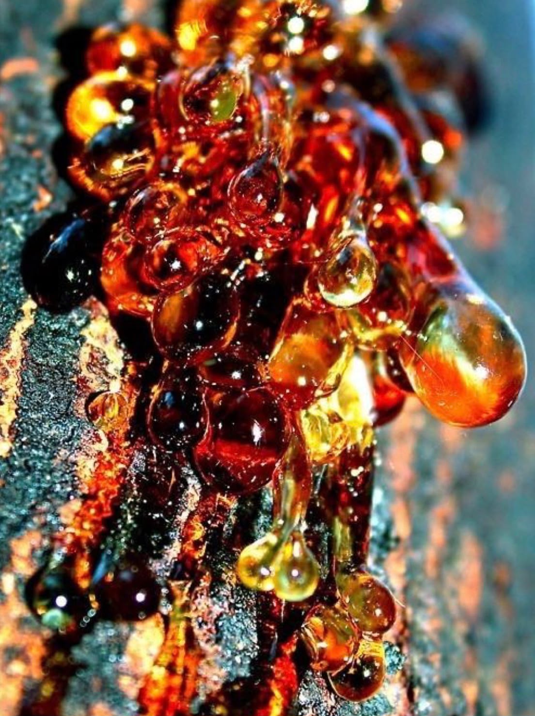 Seiva — Resina natural em detalhe macro